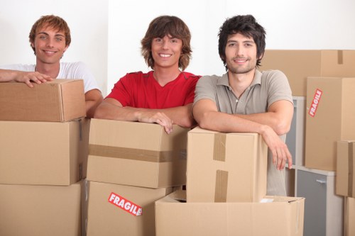 Professional man and van transport service in Sladegreen